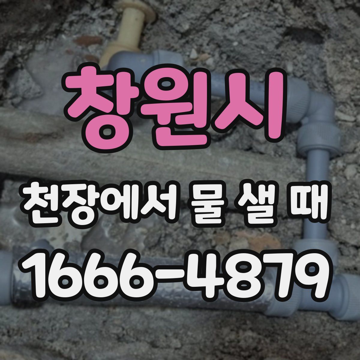 창원시 천장에서 물 샐 때