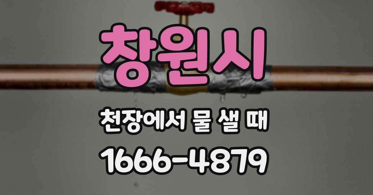 창원시 천장에서 물 샐 때