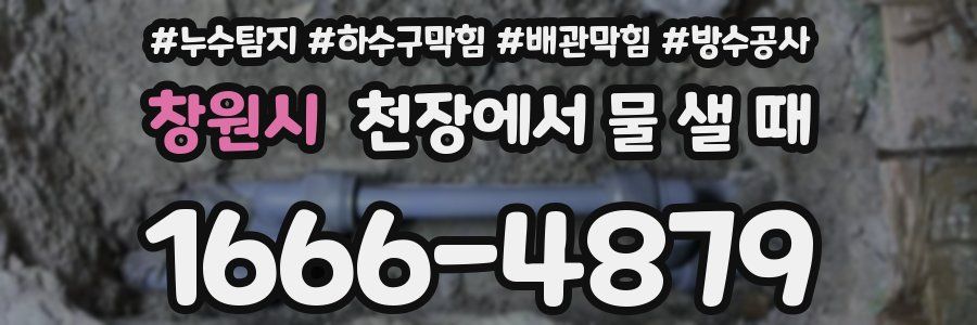 창원시 천장에서 물 샐 때