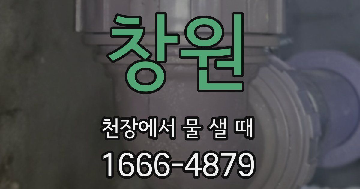 창원 천장에서 물 샐 때