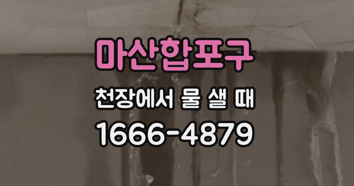 마산합포구 천장에서 물 샐 때