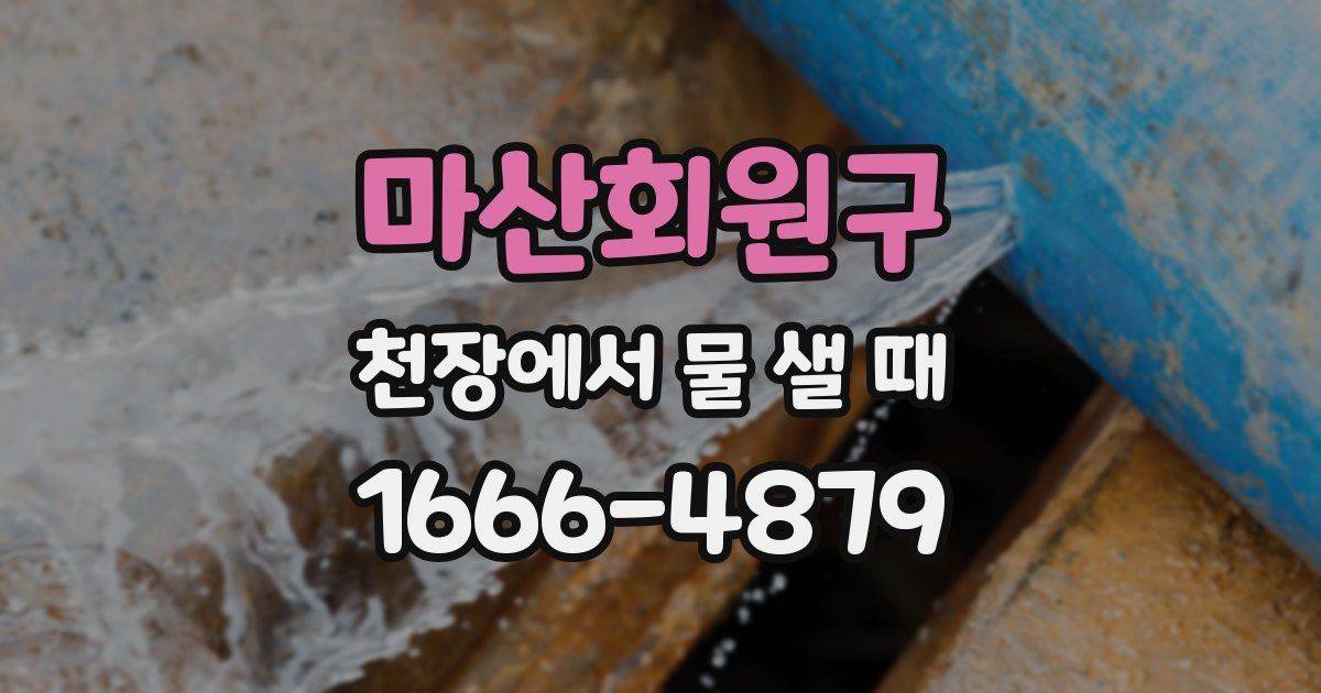 마산회원구 천장에서 물 샐 때