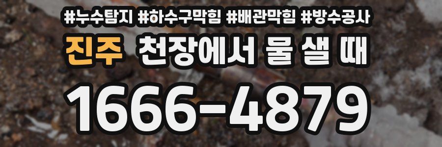 진주 천장에서 물 샐 때