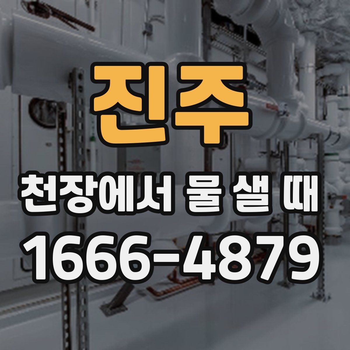 진주 천장에서 물 샐 때