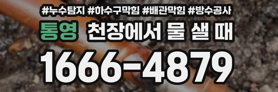 통영 천장에서 물 샐 때