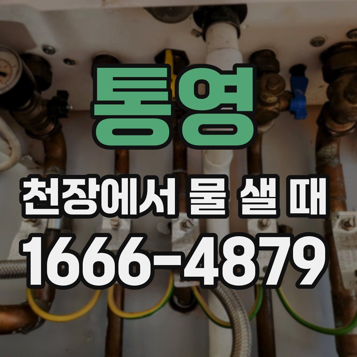 통영 천장에서 물 샐 때