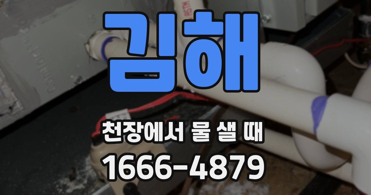 김해 천장에서 물 샐 때