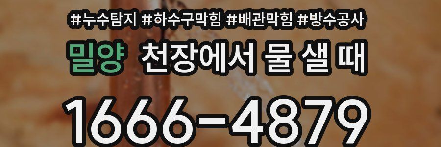밀양 천장에서 물 샐 때