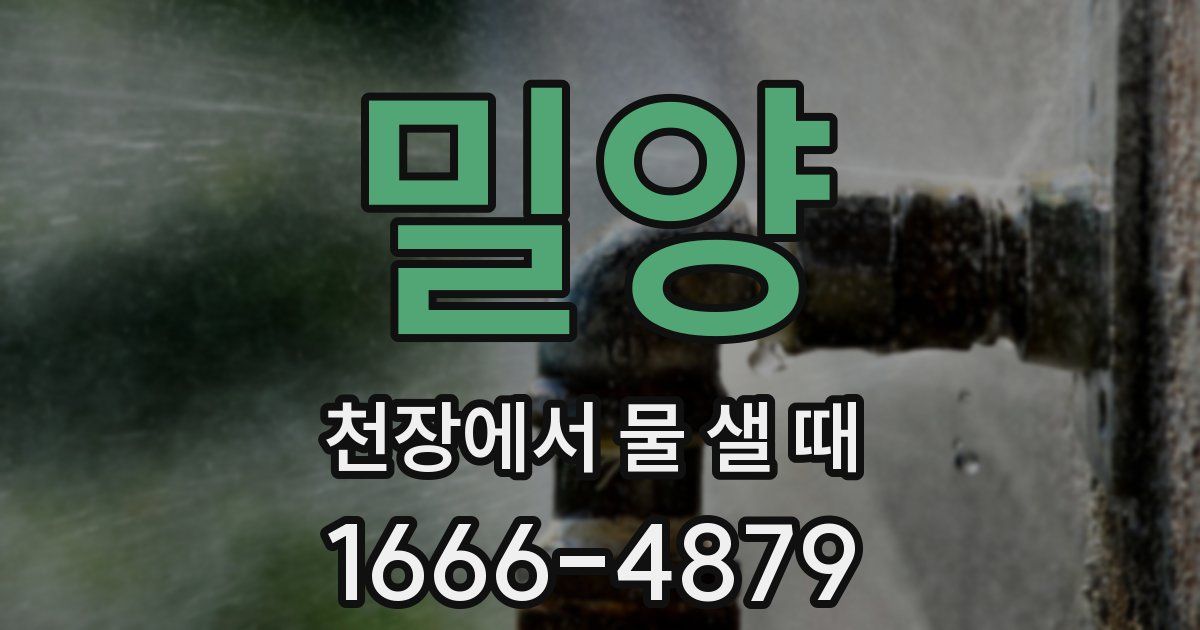 밀양 천장에서 물 샐 때