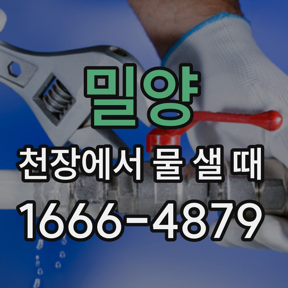 밀양 천장에서 물 샐 때