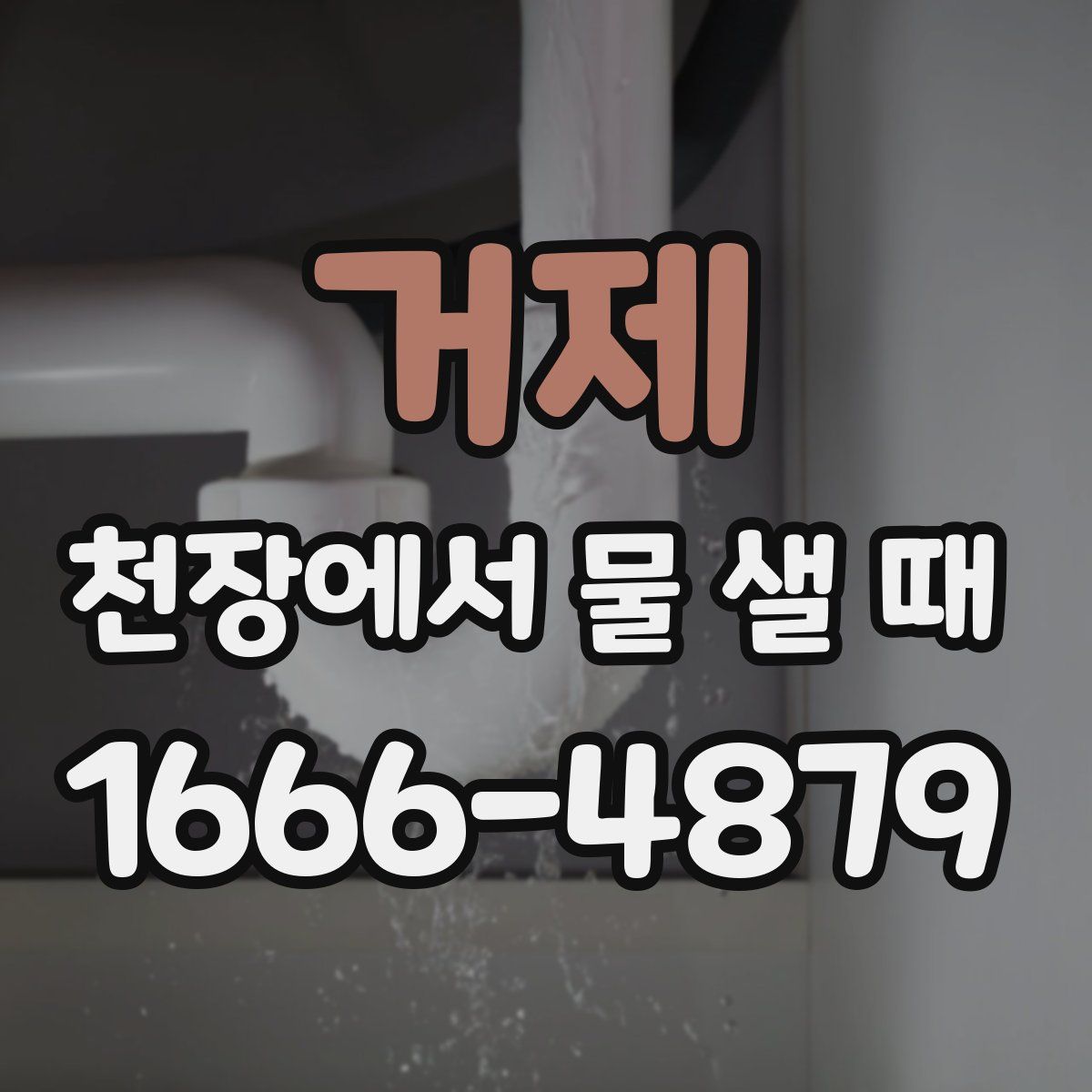 거제 천장에서 물 샐 때