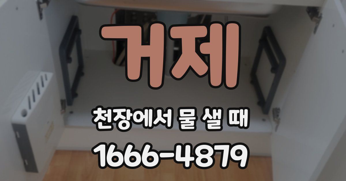 거제 천장에서 물 샐 때