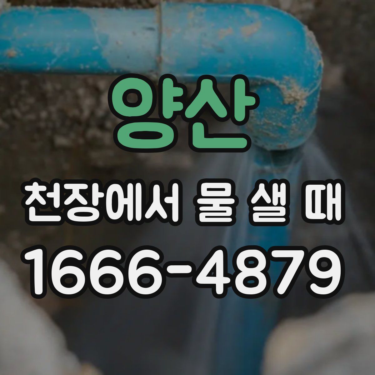 양산 천장에서 물 샐 때