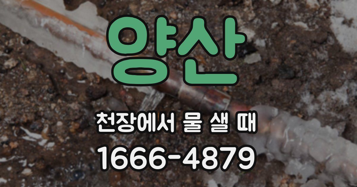 양산 천장에서 물 샐 때