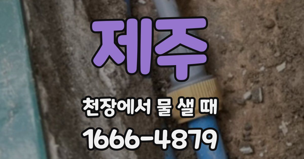 제주 천장에서 물 샐 때