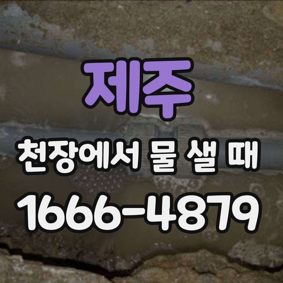 제주 천장에서 물 샐 때