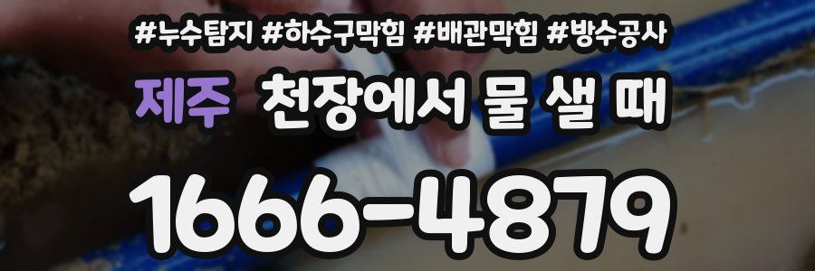 제주 천장에서 물 샐 때