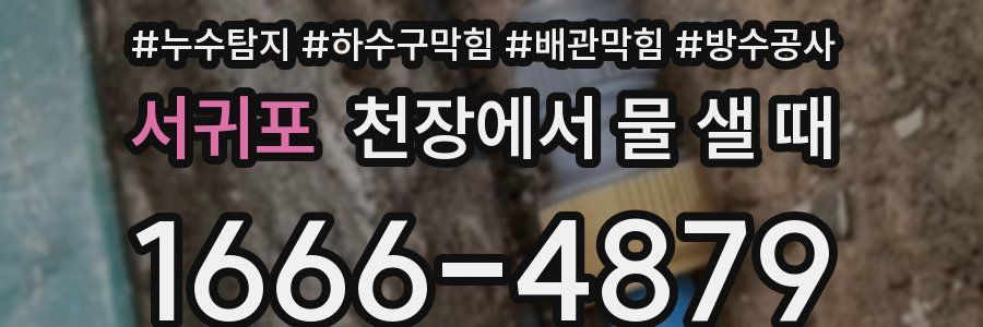서귀포 천장에서 물 샐 때
