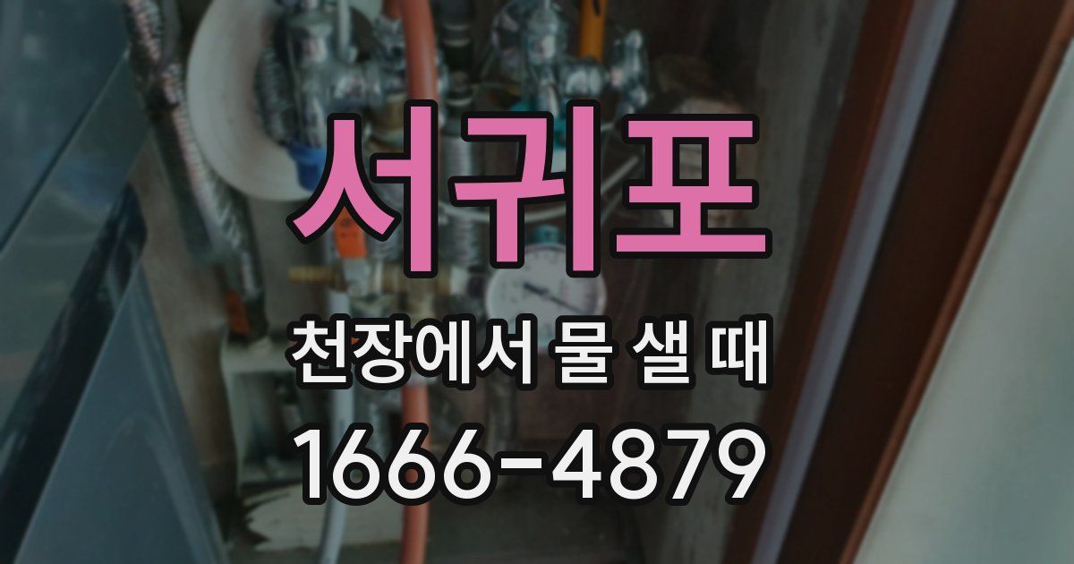 서귀포 천장에서 물 샐 때