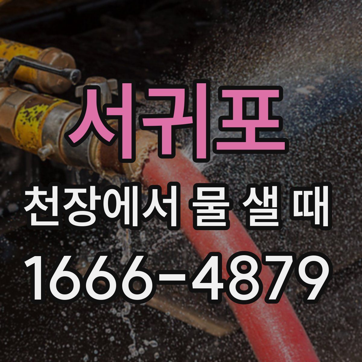 서귀포 천장에서 물 샐 때