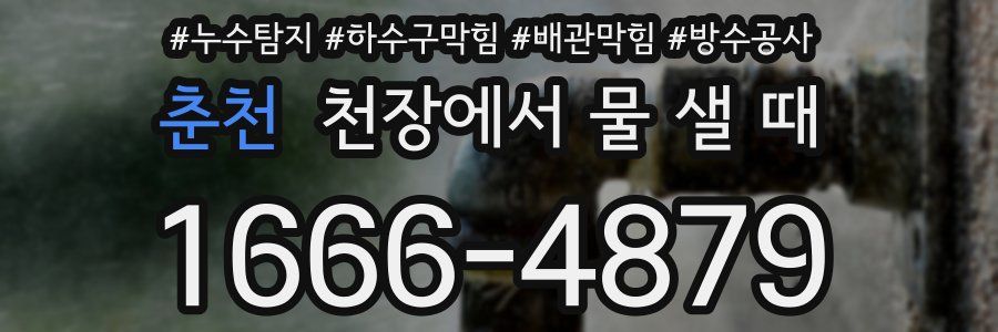 춘천 천장에서 물 샐 때