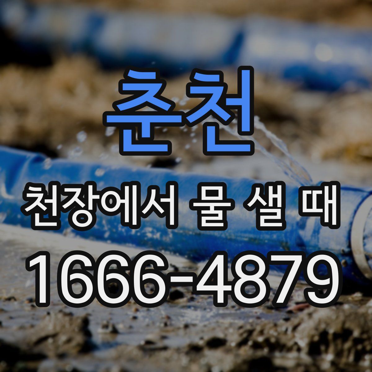 춘천 천장에서 물 샐 때
