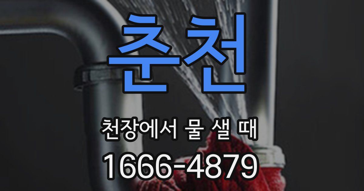 춘천 천장에서 물 샐 때