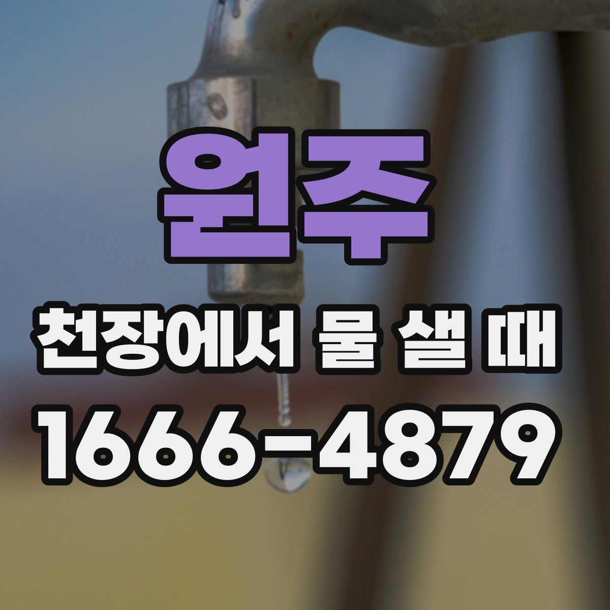 원주 천장에서 물 샐 때