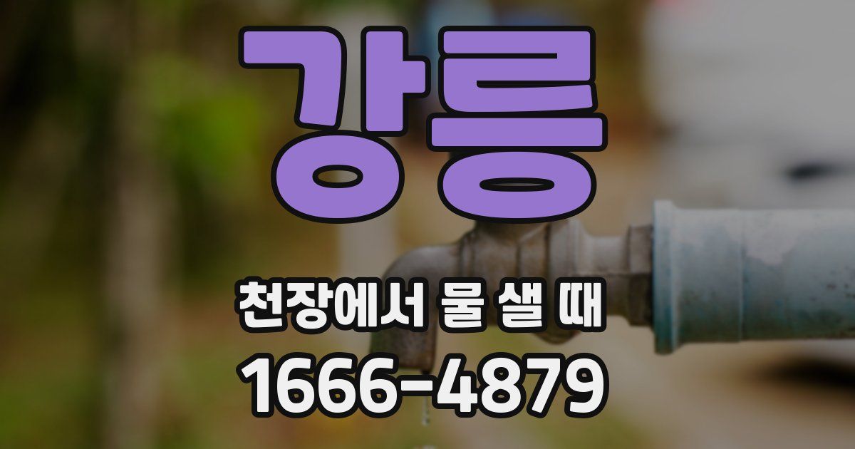 강릉 천장에서 물 샐 때