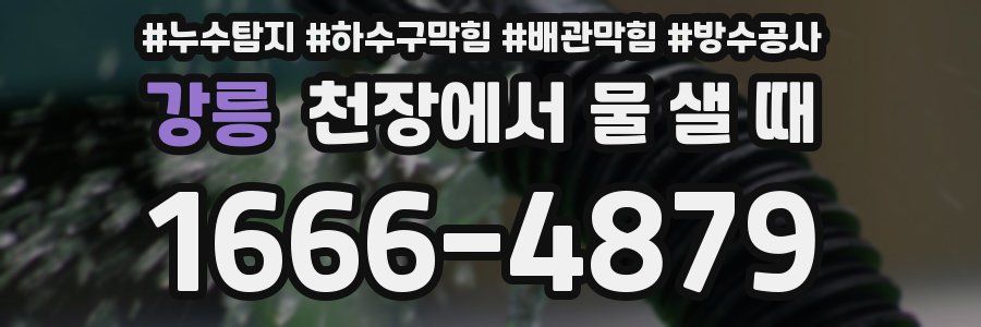 강릉 천장에서 물 샐 때