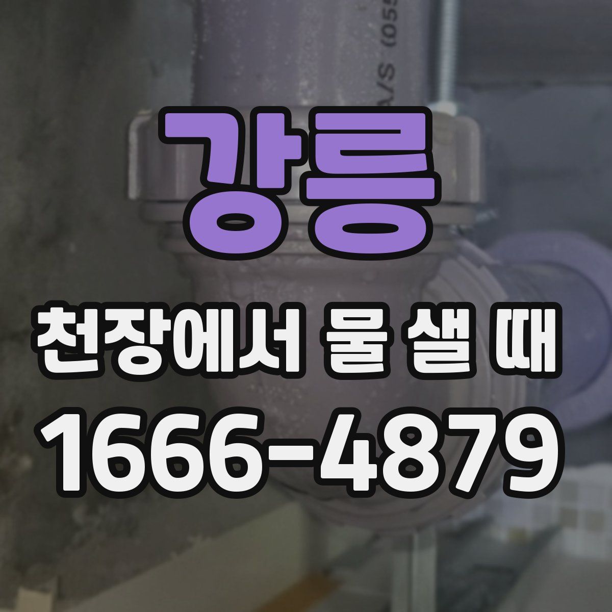강릉 천장에서 물 샐 때