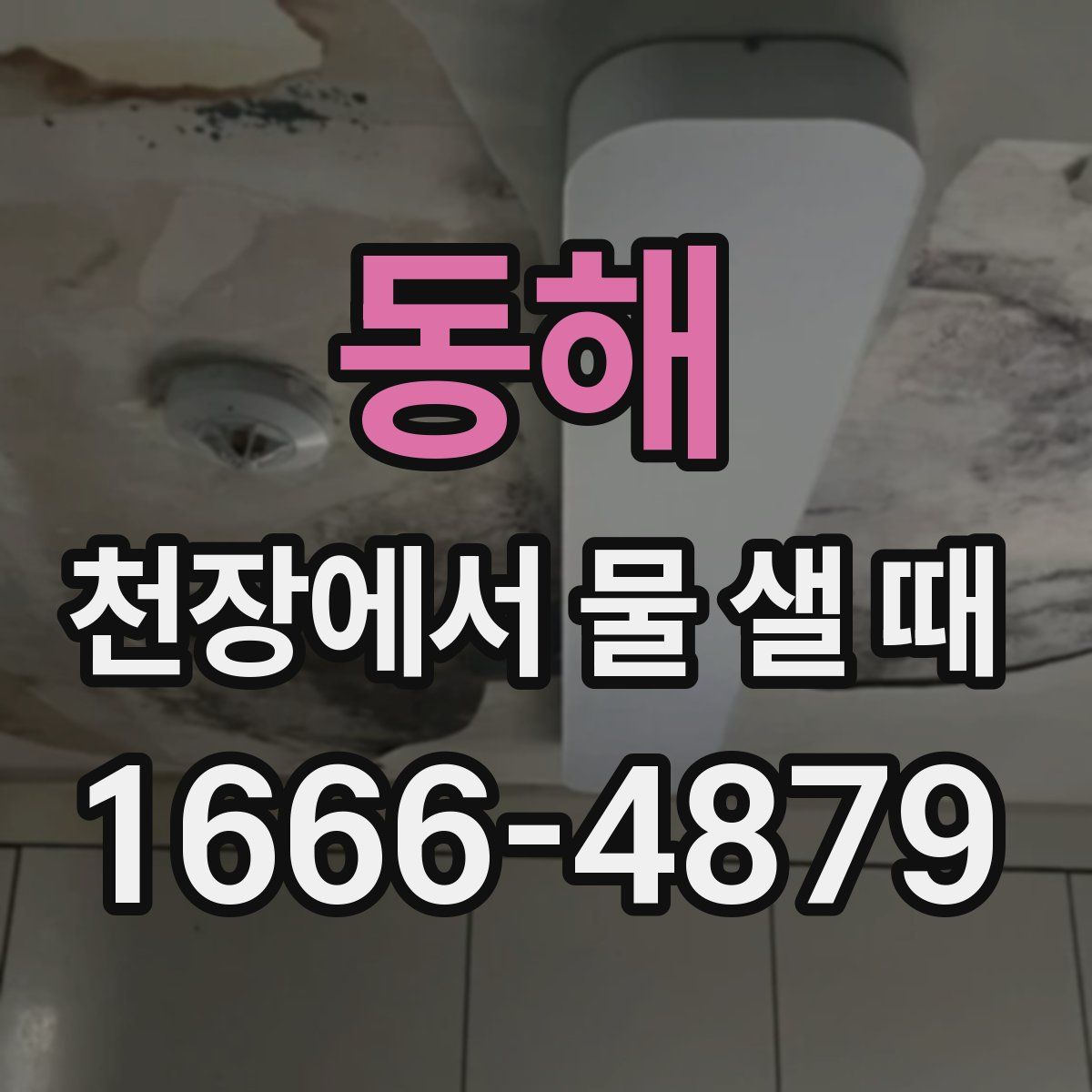 동해 천장에서 물 샐 때