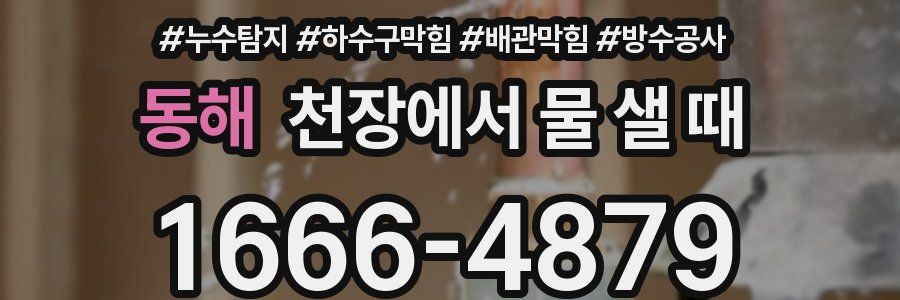 동해 천장에서 물 샐 때