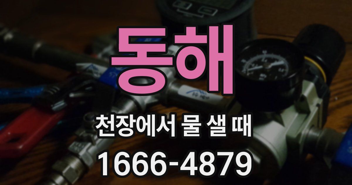 동해 천장에서 물 샐 때