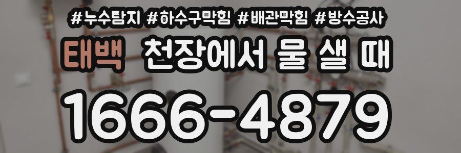 태백 천장에서 물 샐 때