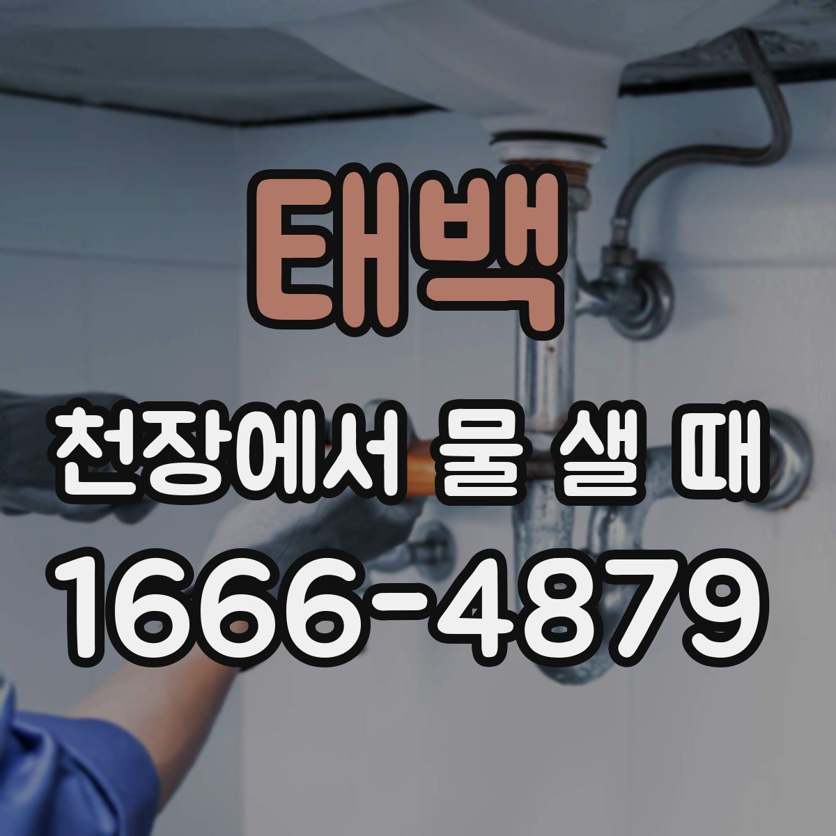 태백 천장에서 물 샐 때