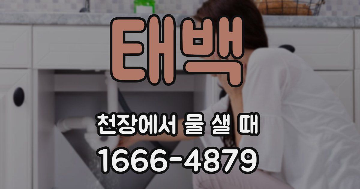 태백 천장에서 물 샐 때