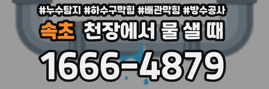 속초 천장에서 물 샐 때