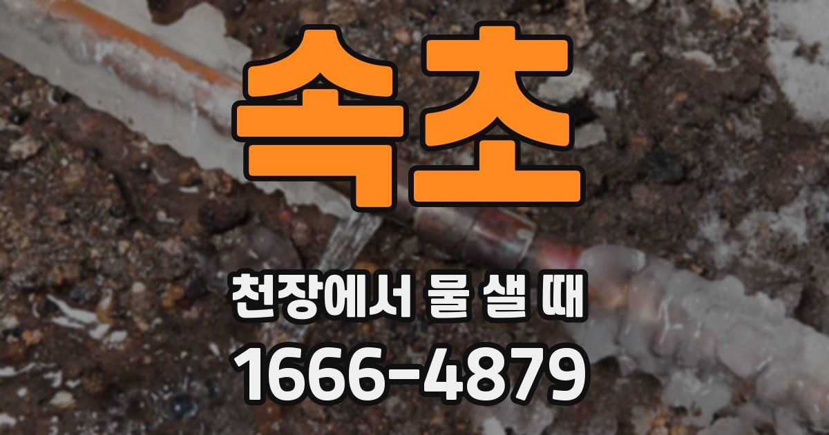속초 천장에서 물 샐 때