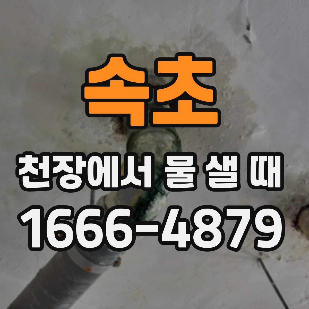 속초 천장에서 물 샐 때