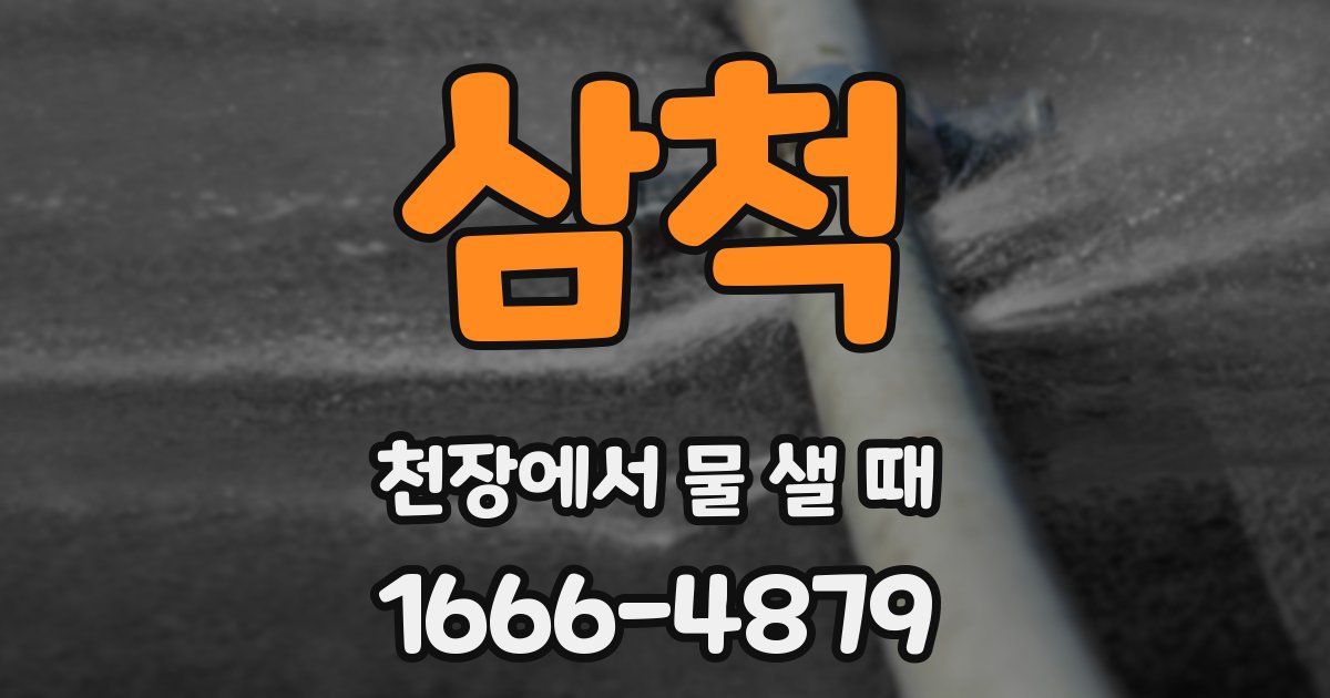 삼척 천장에서 물 샐 때
