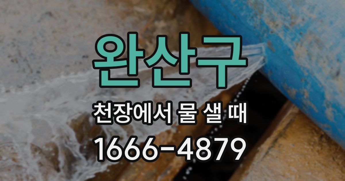 완산구 천장에서 물 샐 때