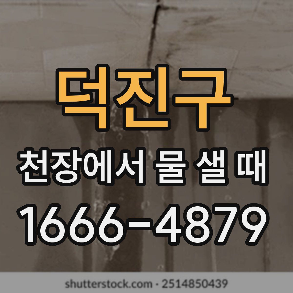 덕진구 천장에서 물 샐 때
