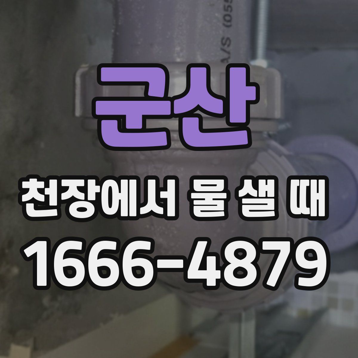 군산 천장에서 물 샐 때