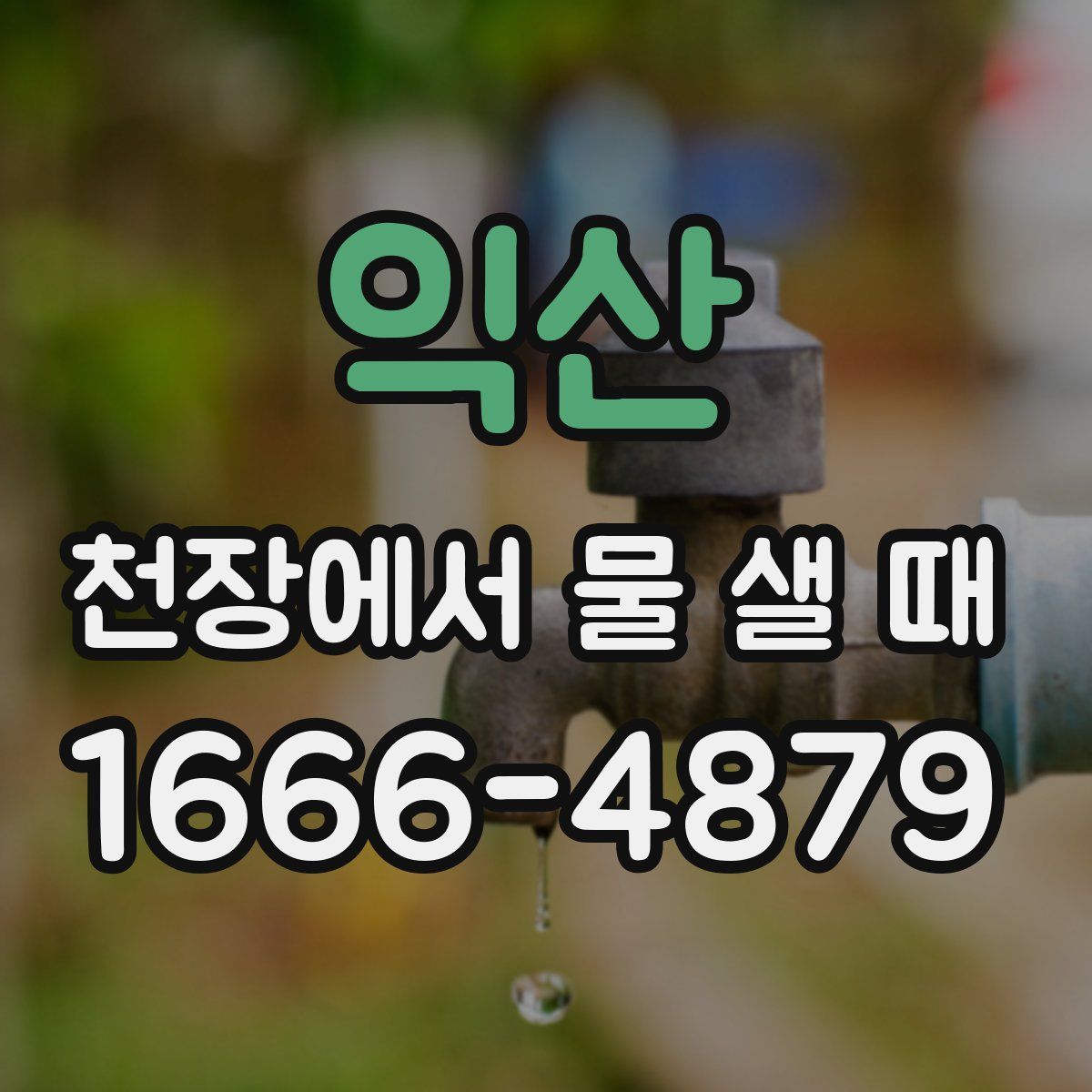 익산 천장에서 물 샐 때