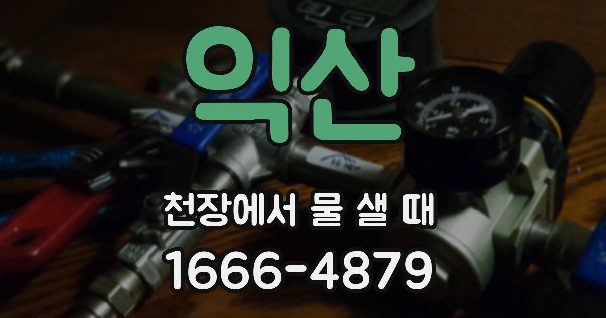 익산 천장에서 물 샐 때