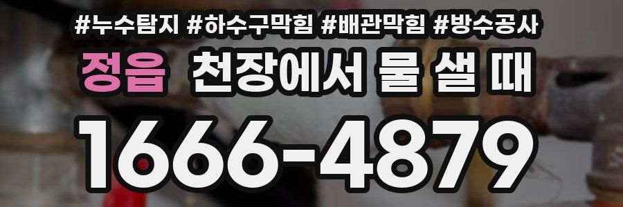 정읍 천장에서 물 샐 때