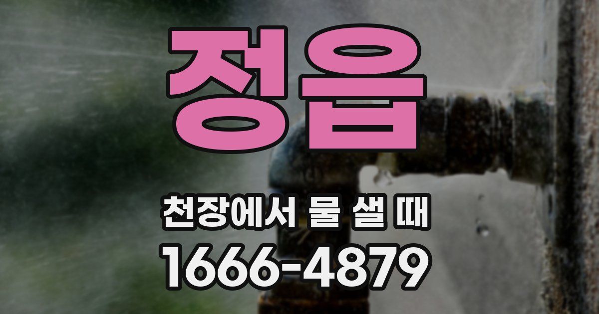 정읍 천장에서 물 샐 때