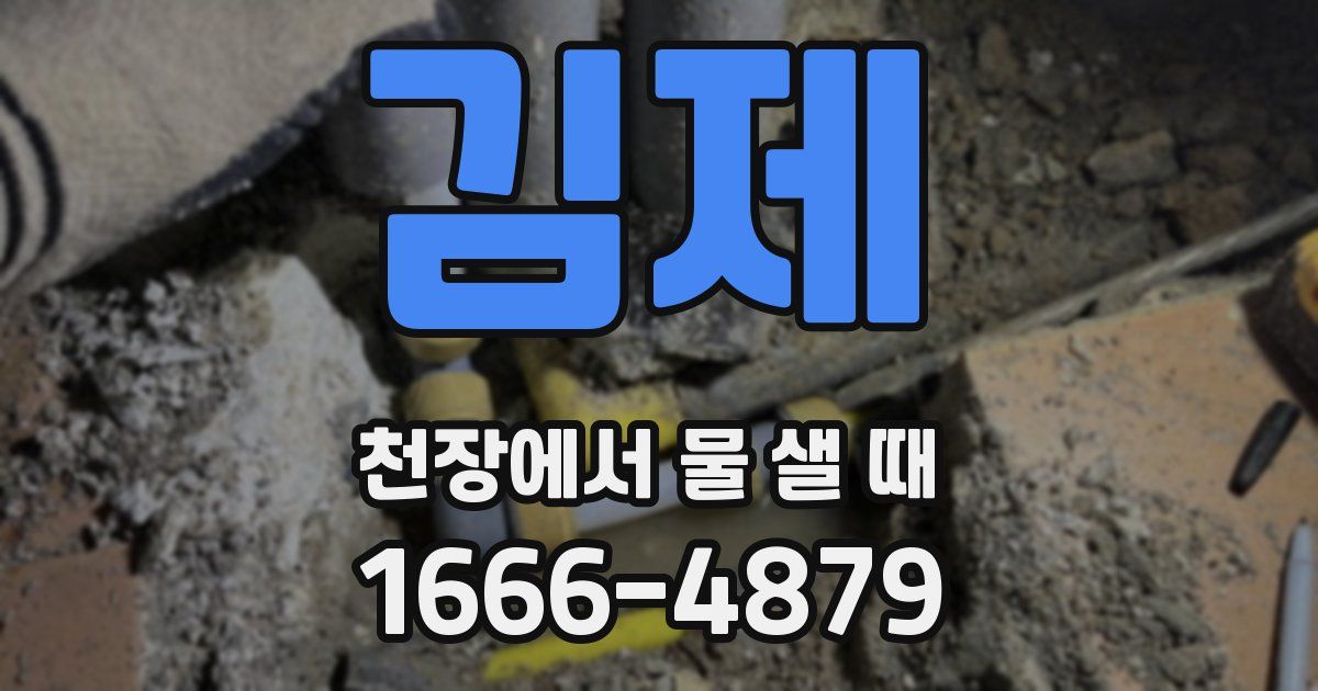김제 천장에서 물 샐 때