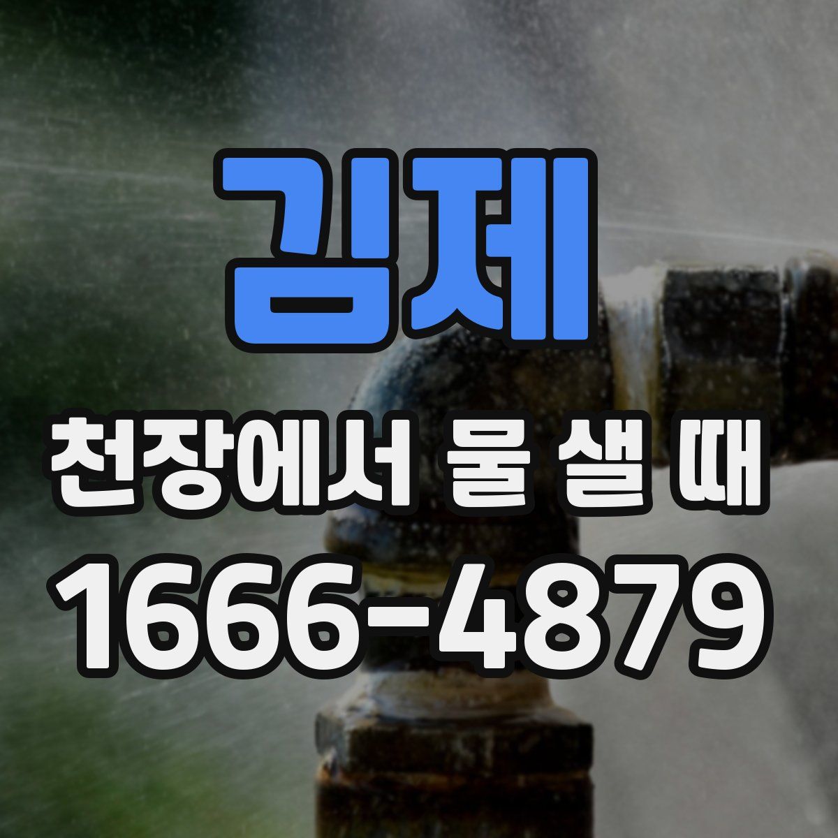 김제 천장에서 물 샐 때